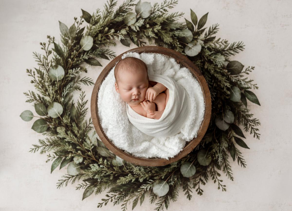 December Morning | Poly Paper Backdrop