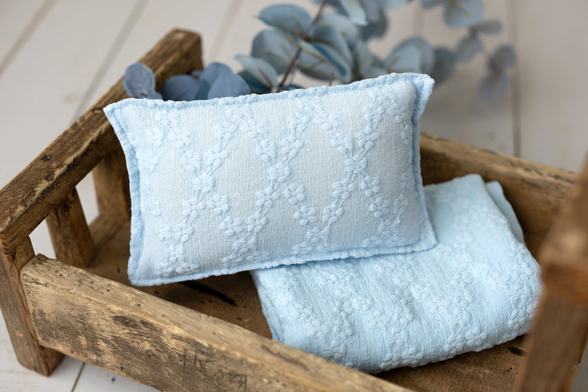 Something Borrowed | Newborn Photography Pillowcase