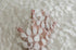 Close-up of sheer ivory lace newborn photography layering fabric with delicate embroidered leaves shown over a hand.