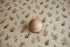 Mantle Garland newborn photography posing fabric featuring delicate evergreen sprigs, greenery, and berries on a warm cream background.