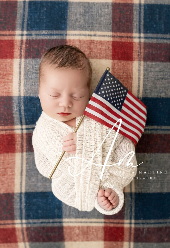 Patriot Plaid Posing Fabric