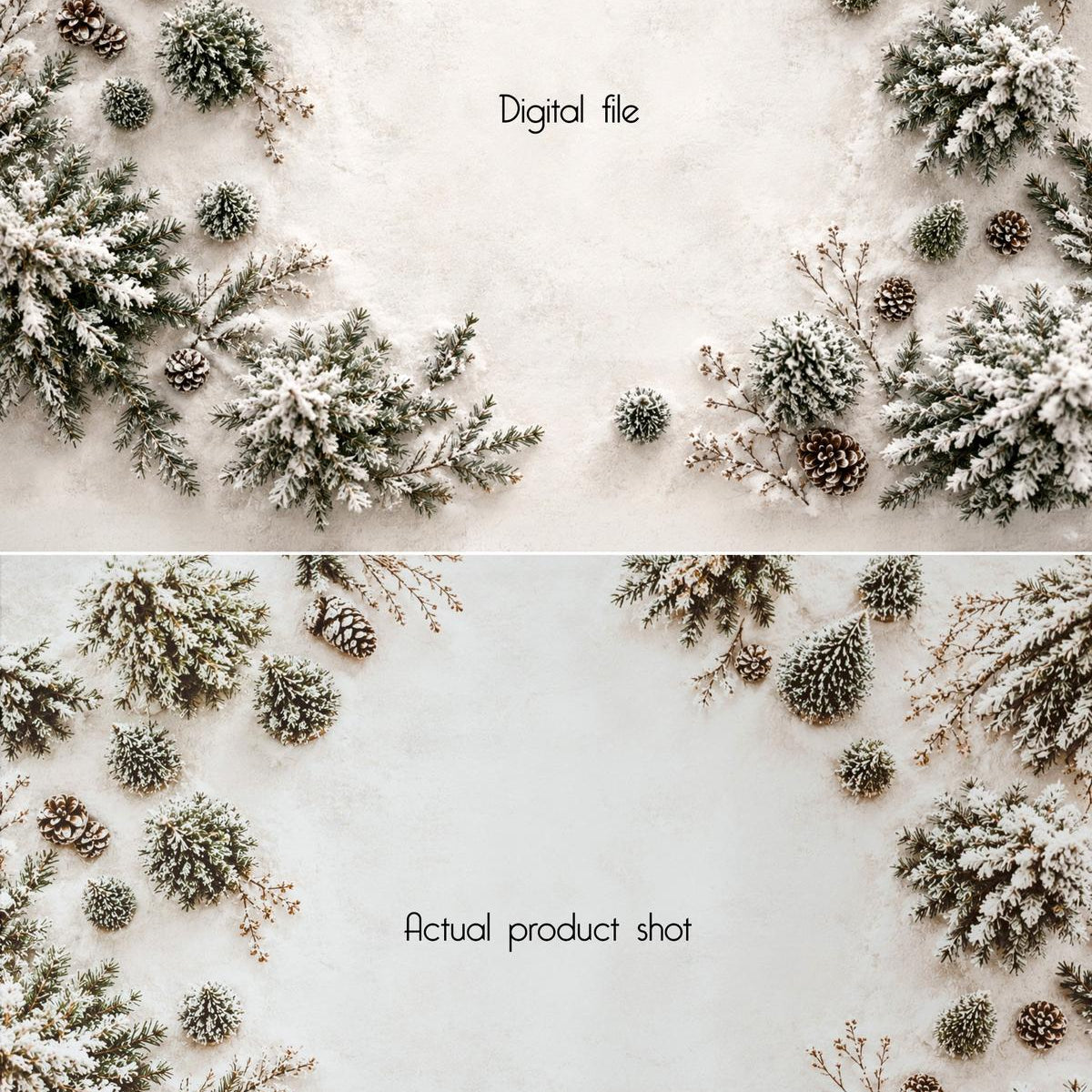 Snowy Pines | Poly Paper Backdrop